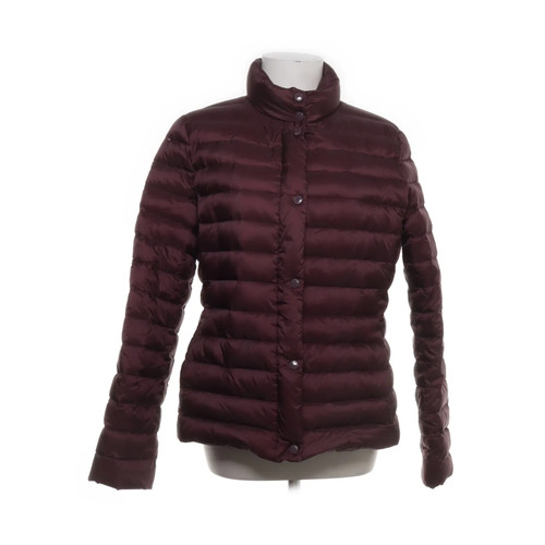 Tommy hilfiger daunenjacke - hilfiger,,