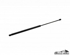 Heckklappendämpfer Hinten