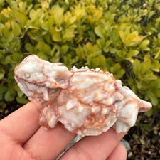 natural Red Network Stone
