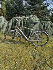 Herren Diamant Trekkingrad