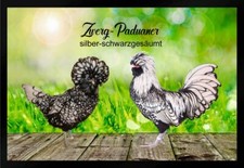 Fußmatte Hühner Zwerg