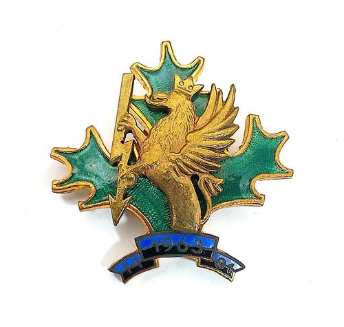 Polen regimentsabzeichen - polen,