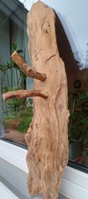 schöne  " Garderobe "
