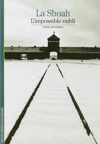 Shoah das unmögliche - das,