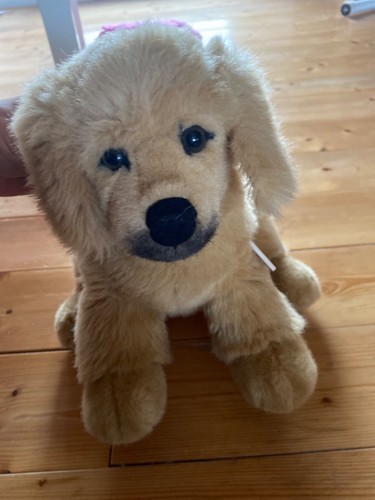 Kösen hund zustand - hund, /