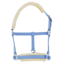 NORTON Fohlenhalfter mit