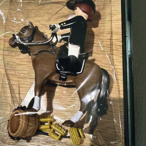 Dressur reiterin mit pferd - reiterin,