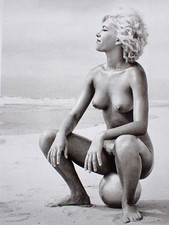 Stell-Es-Auf! ANDRE DE DIENES