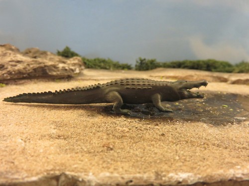 Krokodil länge ca - 1:87,