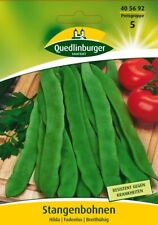 Stangenbohnen "Hilda"   Samen