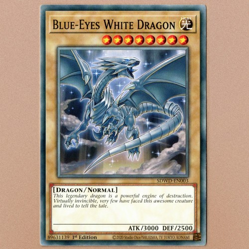 Blauäugiger weißer drache - blauäugiger,