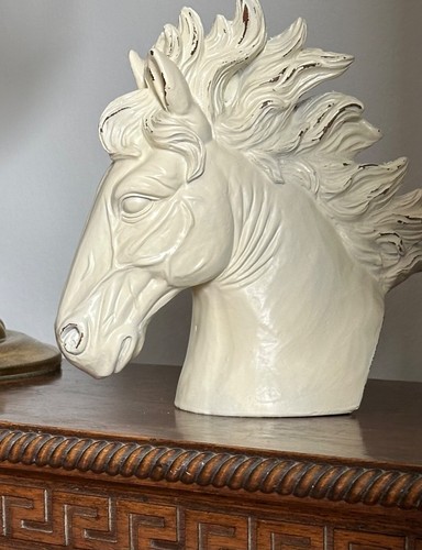 Pferd hengst büste kopf - pferd,
