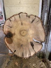 Baumscheibe, Holzscheibe