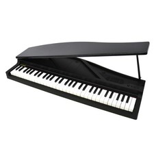 KORG microPIANO 61 Tasten Mini