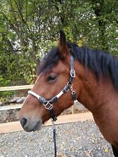 Halfter „RH-Empathia“ Soft