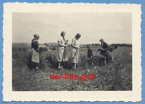Foto alte landwirtschaft - foto,,