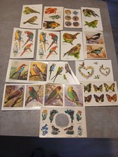 53 DDR Abziehbilder Schmetterlinge, Vögel, Fische Planet/Postkarten Verlag (2)
