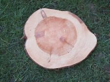 1 große unbehandelte Holzscheibe, Baumscheibe aus Fichtenholz vom Stamm, 32 cm