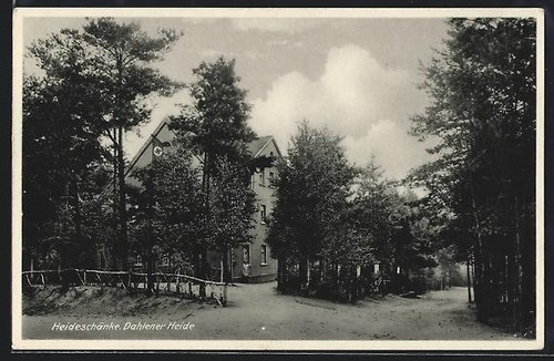 Ansichtskarte dahlen heide - dahlen, /