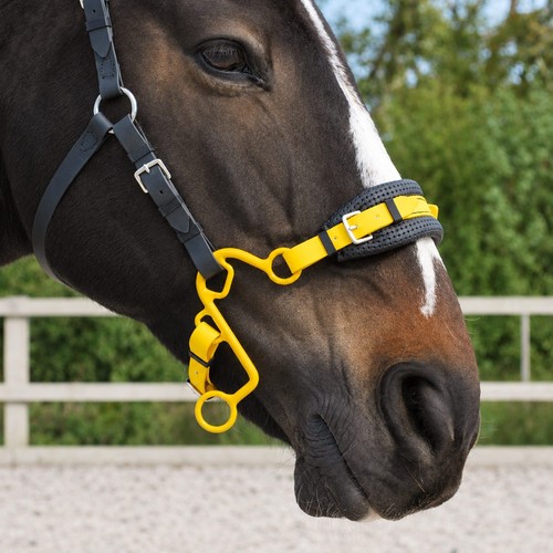 Little hackamore gebissloser - s,