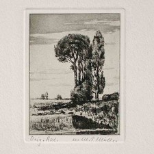 Martin Paul Müller Worpswede Landschaft Griffelkunst Nachlass Radierung 1920er