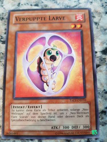 1 verpuppte - 1, ×