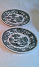 2 Stck.  Villeroy & Boch  Kuchenteller  Burgenland grün 19cm