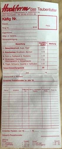Sehr alte brieftauben - sehr,