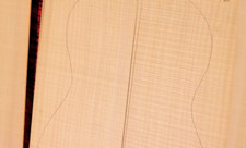 Spanish cypress flamenco - spanish,