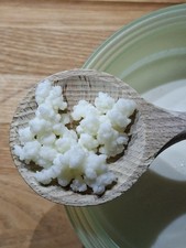 Frische