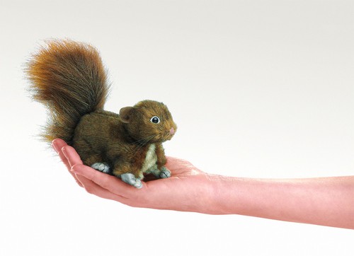 Fingerpuppe eichhörnchen - fingerpuppe,