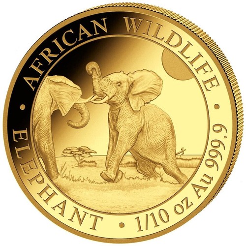 Goldmünze elefant african - goldmünze,