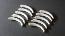 LEGO Teile: 10x Ornament, Horn