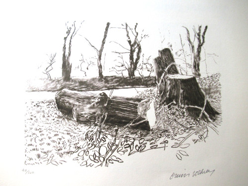 David hockney lithographie - david,