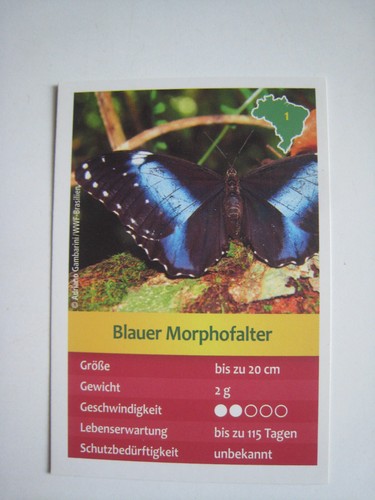 Entdecke brasilien - entdecke,