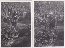 2 x Foto - Soldat Süduniform