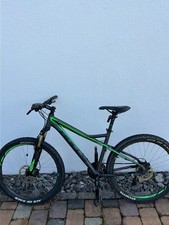 Bulls Sharptail 2 2017