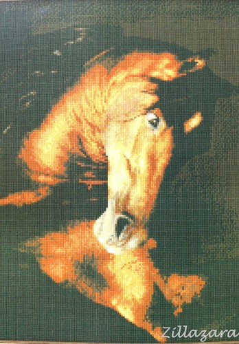 Pferd mustang - pferd,