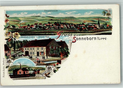 13720243 4924 sonneborn - 13720243,