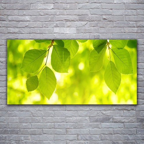 Acrylglasbilder wandbilder - acrylglasbilder,