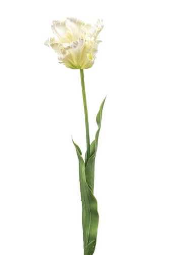 Artplants kunstblume - artplants,