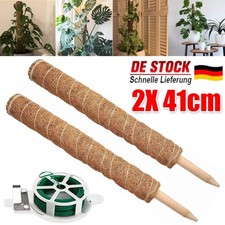 2x Pflanzstab Kokos Monstera