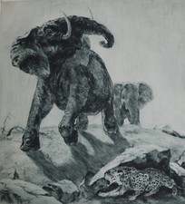 Kurt Meyer-Eberhardt