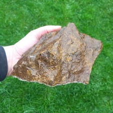 1,6Kg Stromatolith Rohstein