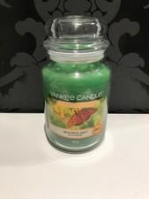 Yankee Candle Beautiful Day