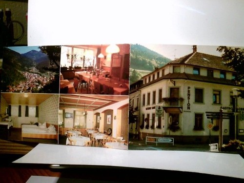 Todtnau pension gasthof - pension, "
