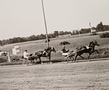 Pferderennen Sulky Kutsche Rennen Pferd Pferdesport Pferde Jokey Rennsport Foto