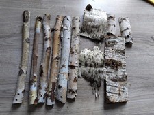 Birkenzweige und Birkenrinde