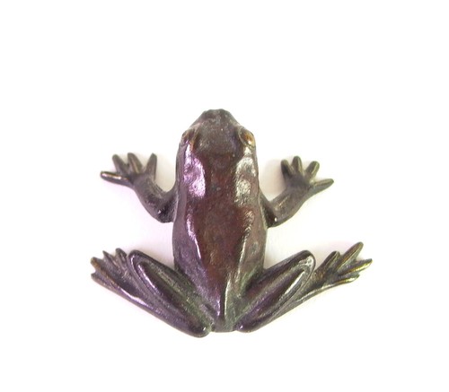 Kleiner frosch art - kleiner, deco