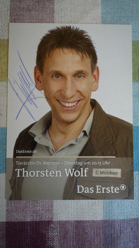 Thorsten wolf tierärztin - thorsten,